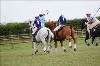 UKPA  NC Sat_1356